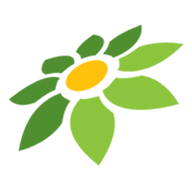 CARI GREENDRAGON88